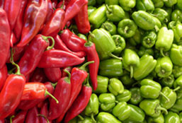 免费网络轰炸机app